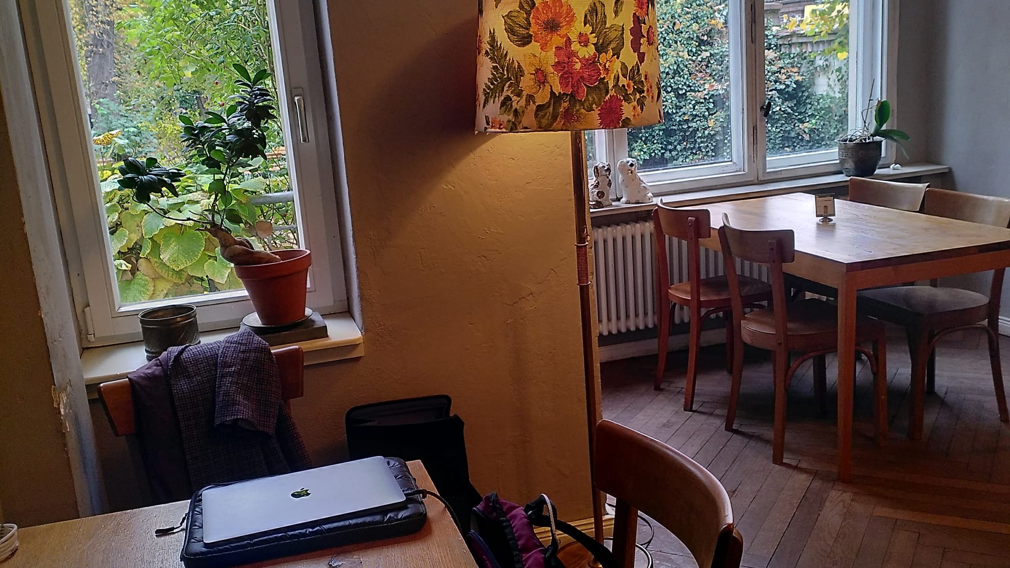 "Spill the tea" Folge 3: Anime - mehr als nur Kinderkram