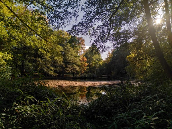 Fuchsfeder Nr. 15: Leseklang Winteredition und kostenlose Lesung aus Das verwinterte Herz